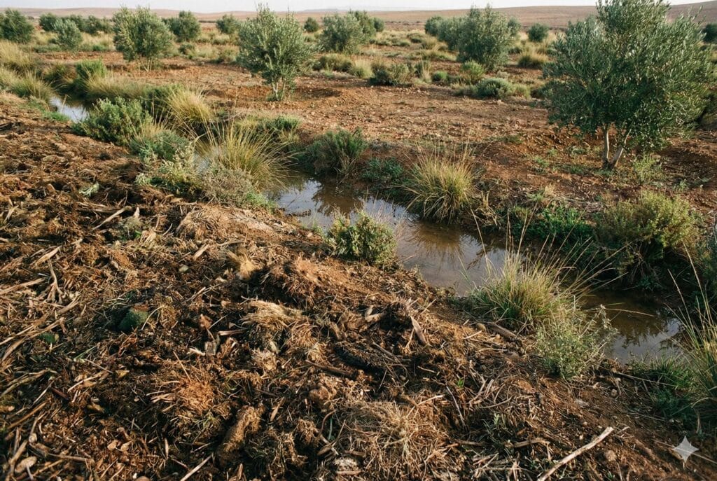 Agronomie du vivant au Maroc – sol vivant et gestion de l’eau en climat aride